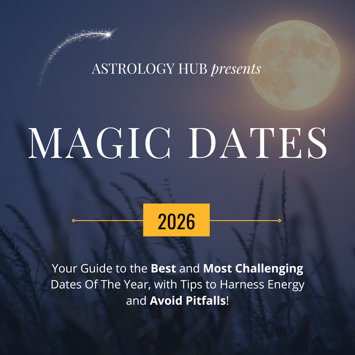 4 Ways The Magic Dates  : Financial Reports Net Worth 2026: Career Earnings & Assets